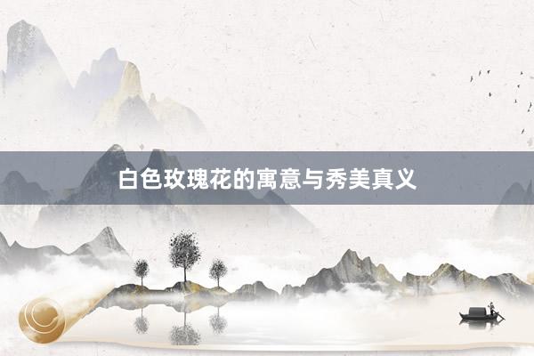 白色玫瑰花的寓意与秀美真义
