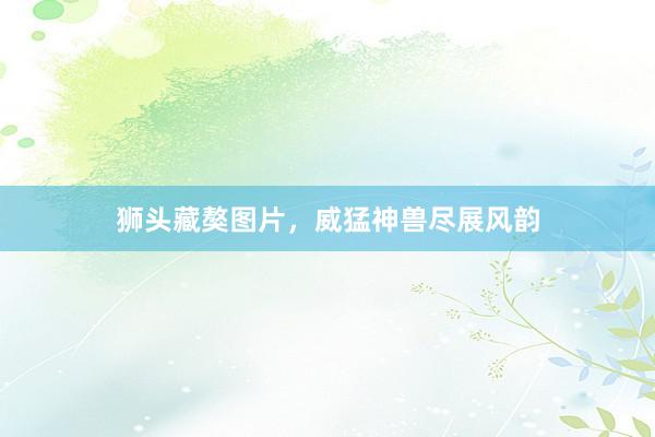 狮头藏獒图片，威猛神兽尽展风韵